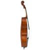 vidaXL Cello Full Set with Bag and Natural Hair Bow Dark Wood 4/4