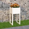 Product Thumbnail Image 2 of 7