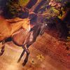 Product Thumbnail Image 4 of 8