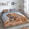 Product Thumbnail Image 2 of 2