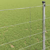 Product Thumbnail Image 4 of 9