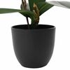 Product Thumbnail Image 3 of 5