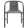 vidaXL Garden Chairs 2 pcs Plastic Rattan and Steel 110 kg