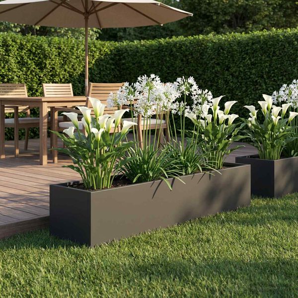 Showing Product Image 2 of 7