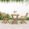 vidaXL Folding Garden Chairs 2 pcs 54.5x61.5x86.5 cm Solid Wood Acacia