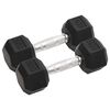 vidaXL Dumbbells 2 pcs 6 kg Total Cast Iron