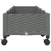 Product Thumbnail Image 4 of 8