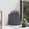 Product Thumbnail Image 2 of 12