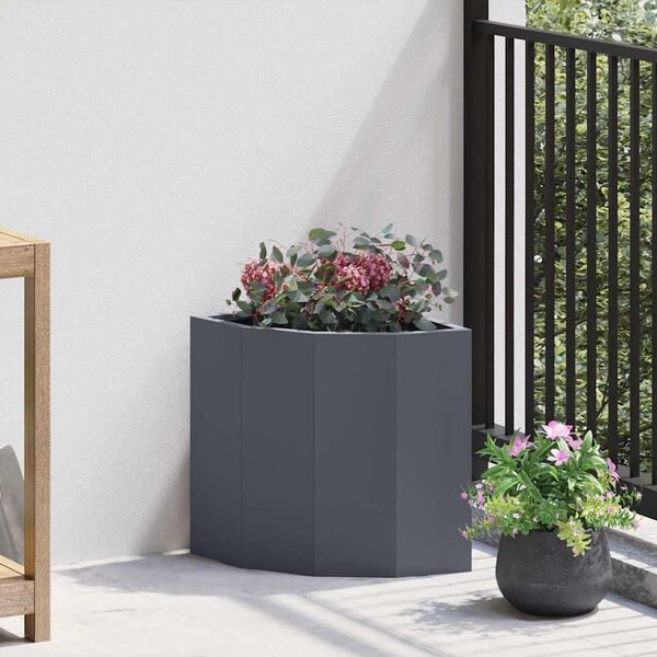 Showing Product Image 2 of 12