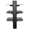 vidaXL 3-tier Wall Mounted Glass DVD Shelf Black