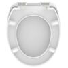 SCH&Uuml;TTE Toilet Seat with Soft-Close NEON PAINT