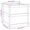 vidaXL Garden Planter White 60x60x60 cm Solid Wood Pine