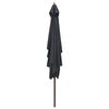 vidaXL Garden Parasol with Wooden Pole 200x300 cm Anthracite