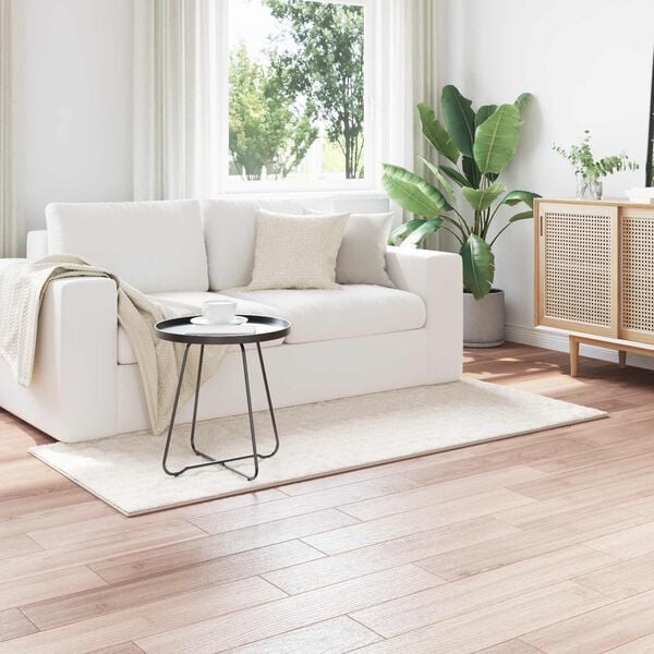 vidaXL Area Rugs Rectangular Cream 200 x 80 cm