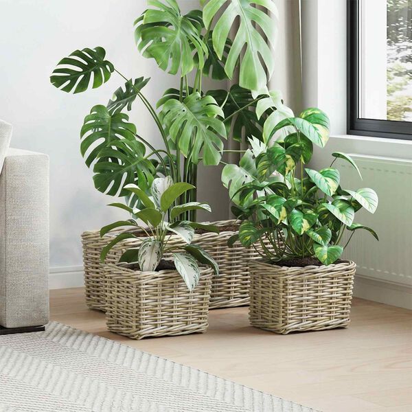 Showing Product Image 2 of 10