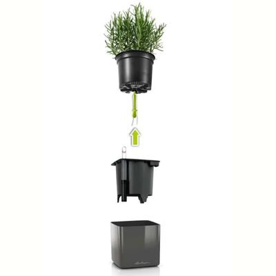 LECHUZA Planters 3 pcs Green Wall Home Kit Glossy Anthracite