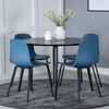 Venture Home Dining Chairs 2 pcs Arctic Plastic Black and Blue