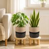 Product Thumbnail Image 2 of 7