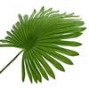 Product Thumbnail Image 3 of 5