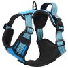 vidaXL Dog Harness with Lead & Collar Adjustable Blue S