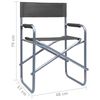 vidaXL Director's Chairs 2 pcs Steel Grey