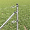 Product Thumbnail Image 4 of 11