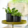 Esschert Design Plant Tray with Clamp Round Gold L