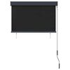 vidaXL Outdoor Roller Blind 100x250 cm Anthracite