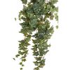 Product Thumbnail Image 2 of 2