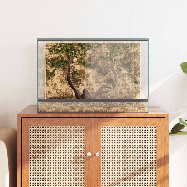 vidaXL Terrarium with Storage Transparent 60 x 40 x 40 cm Glass