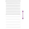 Product Thumbnail Image 5 of 16
