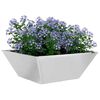 vidaXL Garden Planter 5 pcs Silver 40 x 40 x 15 cm Stainless Steel