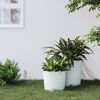 vidaXL Planter with Removable Inner White 15 / 15.3 L PP Rattan
