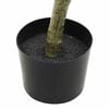 Product Thumbnail Image 3 of 5