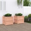vidaXL Garden Planters 2 pcs Solid Wood Douglas
