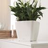 LECHUZA Planter QUADRO LS 43 ALL-IN-ONE High-Gloss White 16180