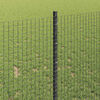 Product Thumbnail Image 4 of 14