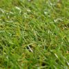 vidaXL Artificial Grass Tiles 20 pcs 30x30 cm Green