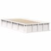 vidaXL Bed Frame White 100 x 200 cm Solid Pine Wood