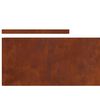 vidaXL Lawn Edging Rusty 450 x 0.05 x 25 cm Weathering Steel