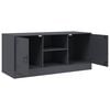 vidaXL TV Cabinet Anthracite 99x39x44 cm Steel