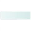 vidaXL Shelf Panel Glass Clear 100x25 cm