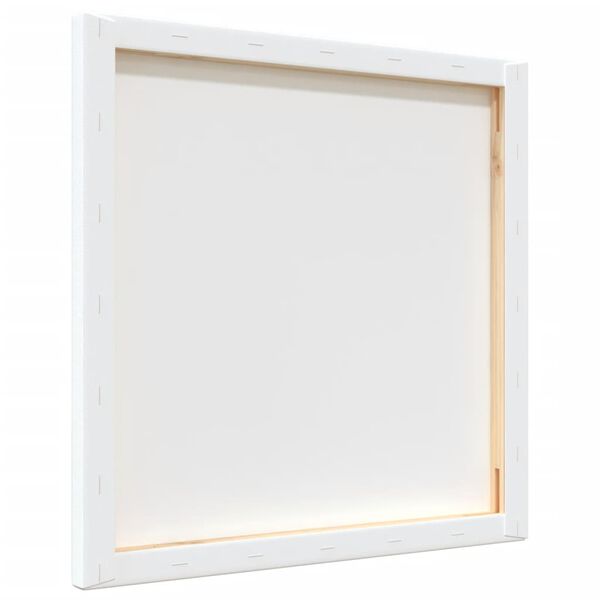 vidaXL Stretched Canvases 12 pcs White Fabric and Solid Wood Pine