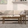 vidaXL 2 Piece Coffee Table Set Honey Brown Solid Wood Pine