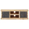 vidaXL TV Cabinet with Steel Doors 120x30x40cm Solid Mango Wood