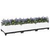 vidaXL Raised Bed 120x40x23 cm Polypropylene