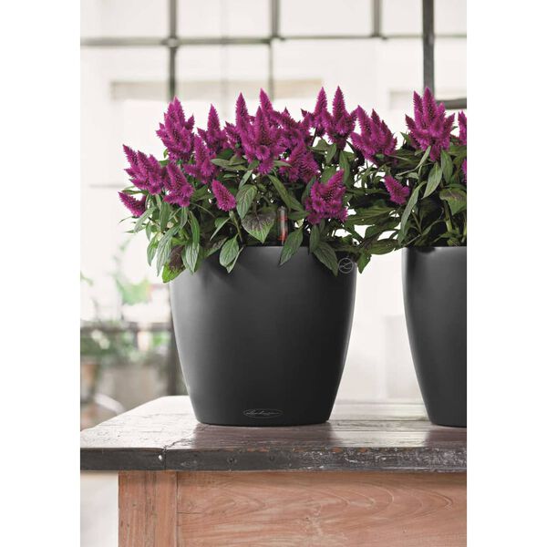 LECHUZA Planter Classico Color 43 ALL-IN-ONE Slate 13244