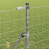 Product Thumbnail Image 4 of 15