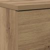 vidaXL Shoe Cabinet Artisan Oak 100.5 x 28 x 100 cm Engineered Wood