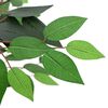 Product Thumbnail Image 5 of 6